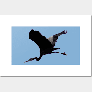 Great Blue Heron Flying Past the Clouds Above Trojan Pond 6 Posters and Art